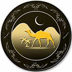 Amazing Life coin