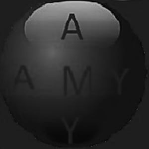 Amy Finance coin