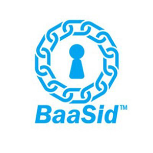 BaaSid coin