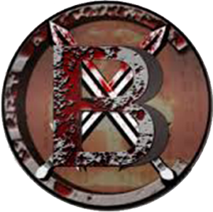 BitcoinX coin