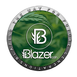 BlazerCoin coin