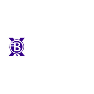 Balloon-X kaç tl
