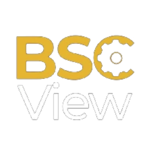 BSCView coin