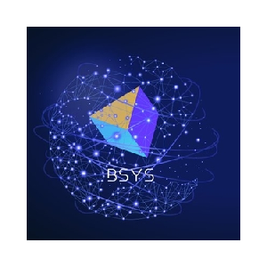 BSYS coin