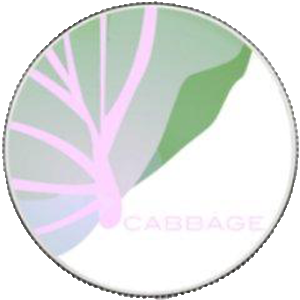 Cabbage coin