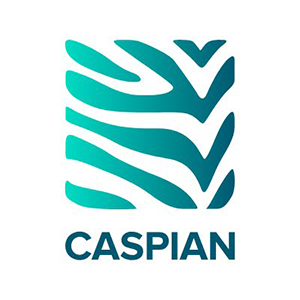 Caspian coin