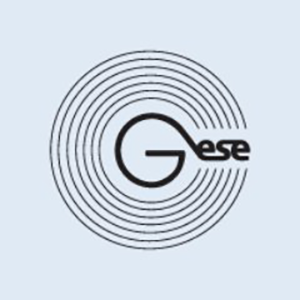GSENetwork coin