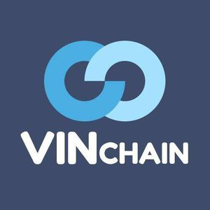 VINchain coin